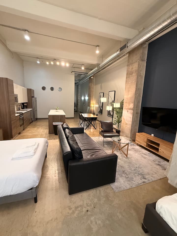 Large 2 Bedroom Apart. Downtown Dallas/sleeps 10 - Dallas, TX