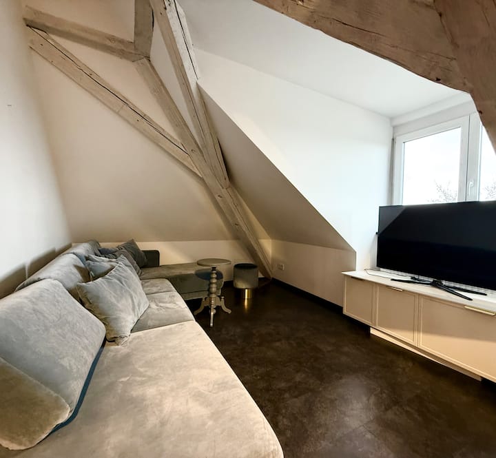 Einzigartig: Dachgeschoss-loft + Balkon | Augsburg - Augsburg