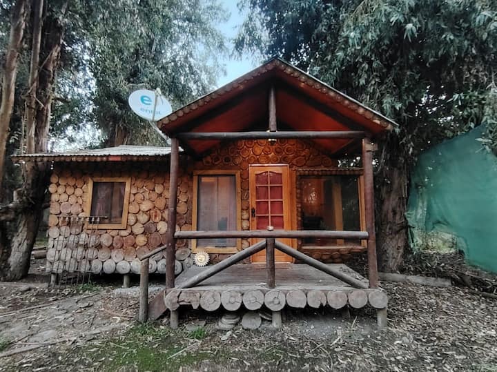 Tinaja, Hospedaje Bella Cabaña En Un Bosque, Lampa - Colina