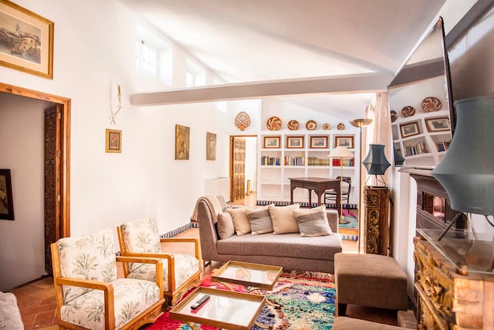 Seville Center - Bright Penthouse Manor House - Séville