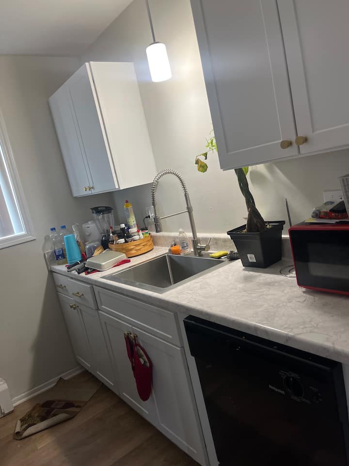 Roommate Available Farmington Hills - Novi, MI