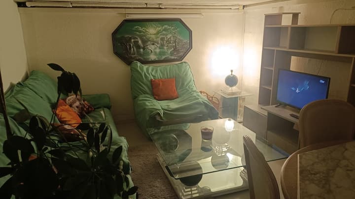 C'est Une Entrée Privée Au Bord Du Lac - Nyon