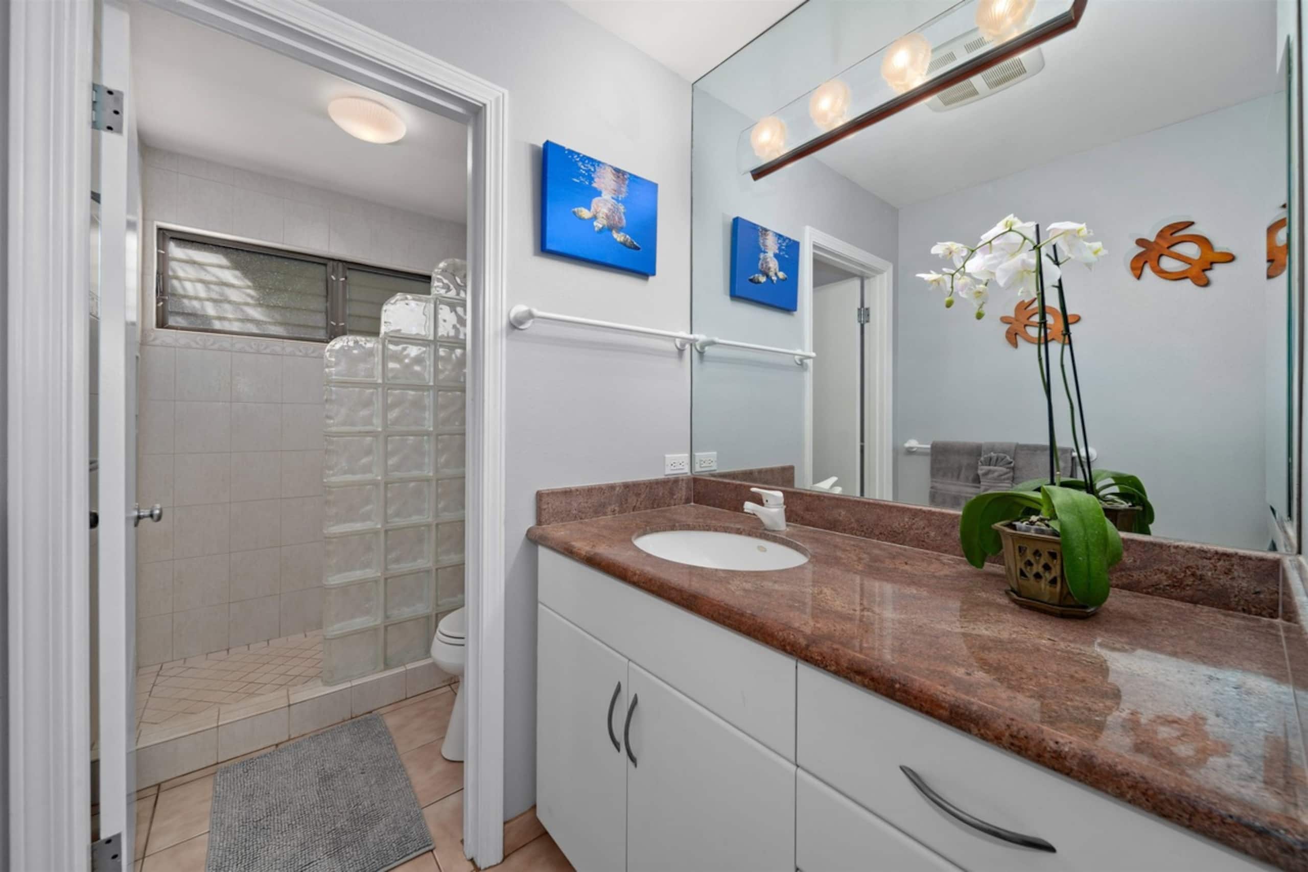 Wailea Ekahi Ocean View Unit | Walk to Beach | AC - Image 12