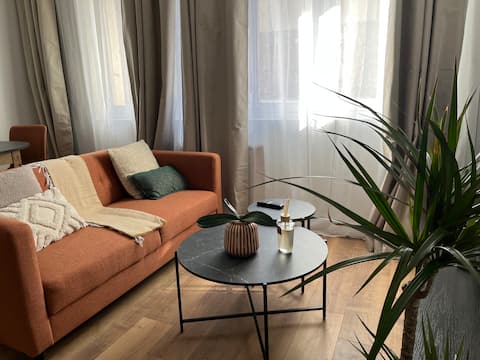 Top performing Airbnb: Ernest – Very nice, new 1-bedroom apartment in an upscale neighborhood in Thabor Saint Hélier Alphonse Guérin