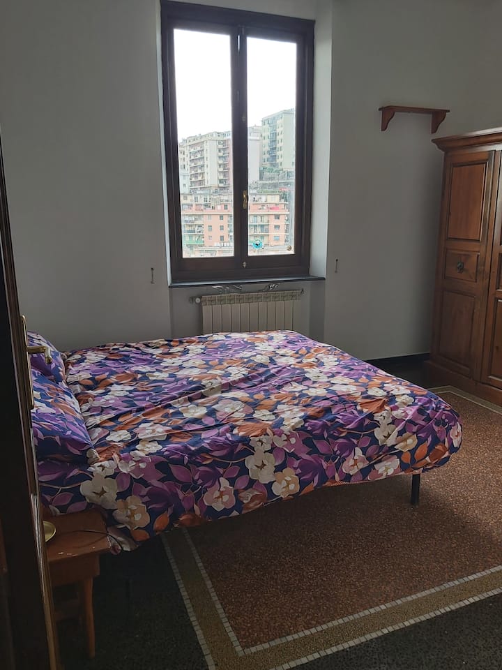 Habitación 1