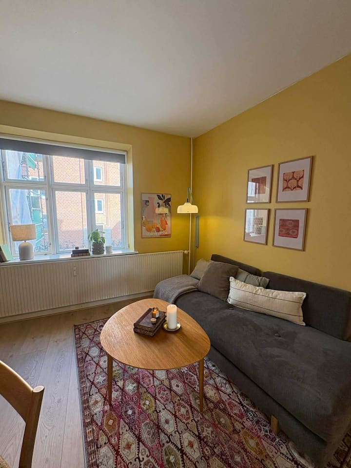 Hyggelig Og Nyrenoveret Lejlighed I ØGaderne - Aarhus