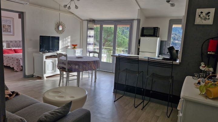 Appartement T2 Plein Sud Au Calme. - Amélie-les-Bains-Palalda