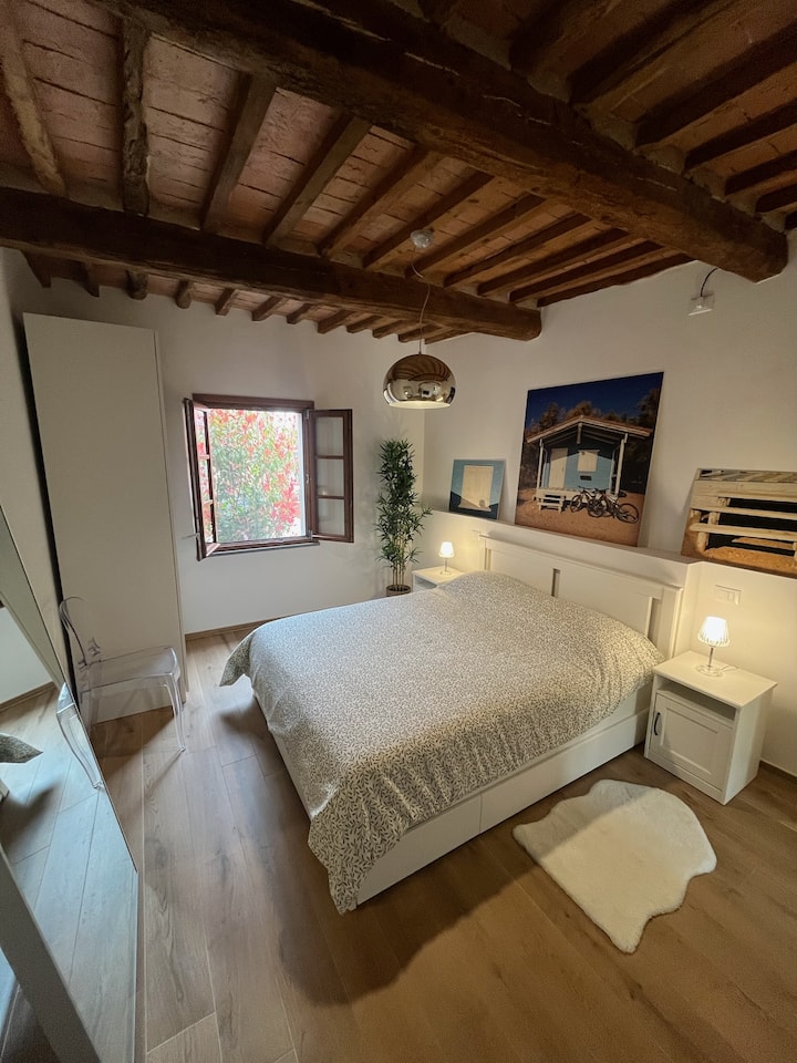 Il Nido Sull’arno – Cozy Rustic Stay In Pisa - Pisa