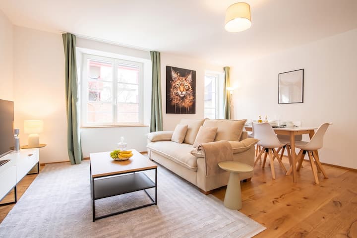 Special *Top Lux 12* Apartment @Top Location/rhein - 바젤