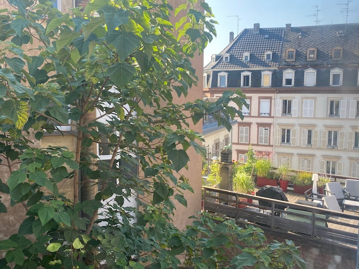 Logement Privatif "Montagne Verte" - Strassburg