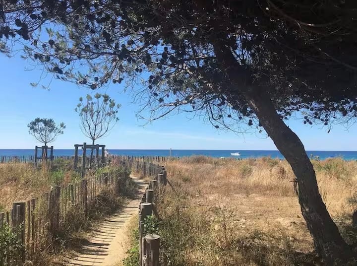 Maison Avec Jardin Privatif à 800m De La Plage - Belgodère