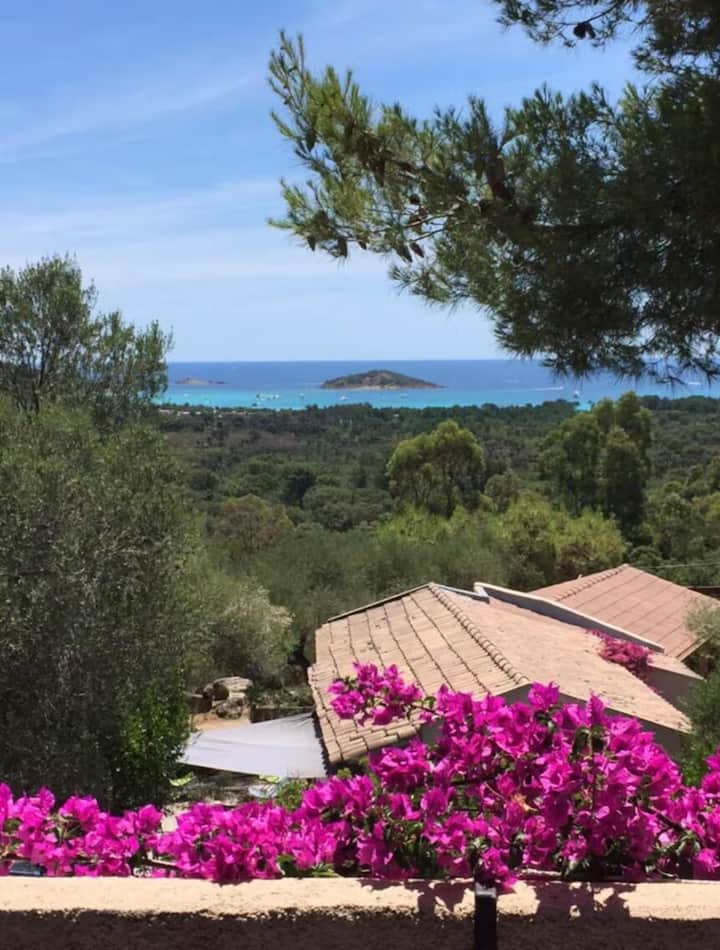 Villa T2 St Cyprien - Lecci