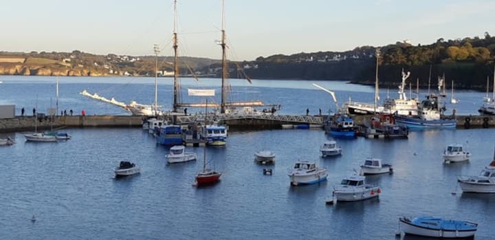 D2003-appartement T2   Sur Le Port Du Rosmeur ! - Douarnenez