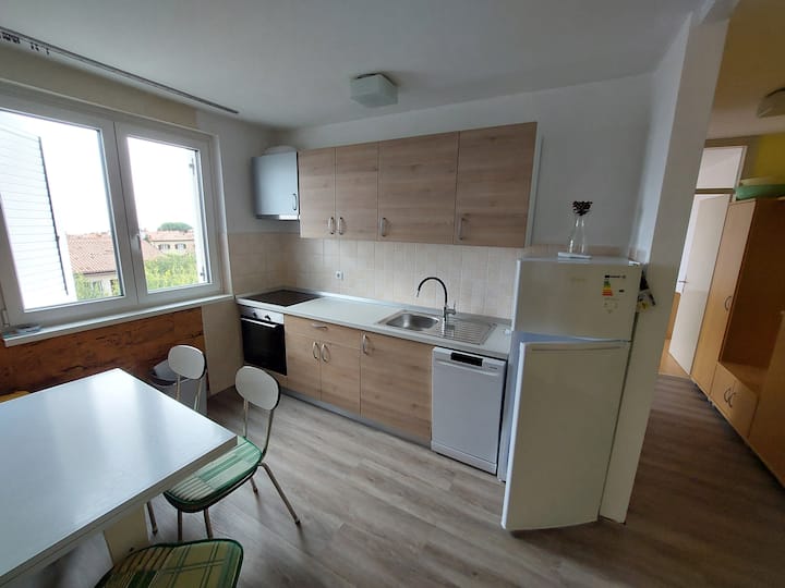Apartma Epulonova 5 - Novigrad