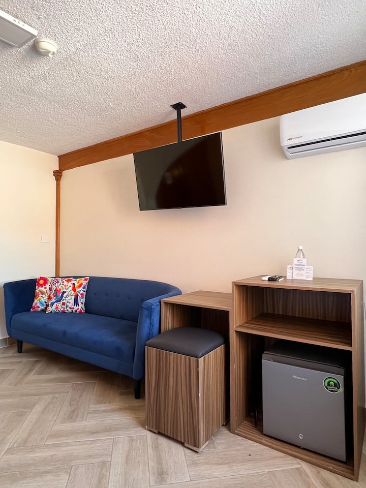 Jr Suite Con Terraza, A/c, En El Jardín Principal - グアナフアト