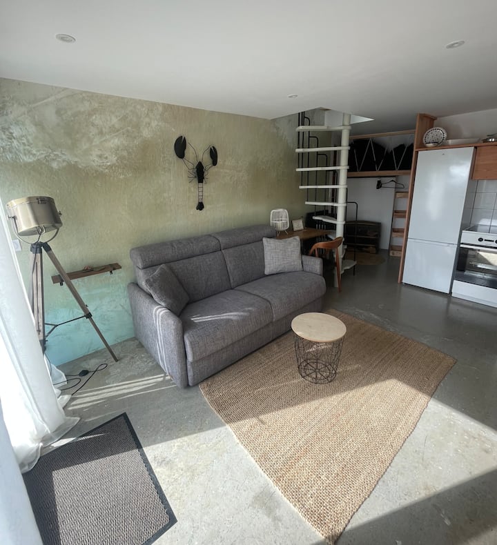 Studio-lochenn Face à Bréhat - Paimpol