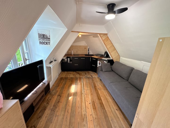 Appartement En Plein Centre - Bossòst