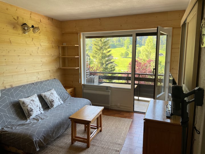 T2 Cosy, Balcon Vue Montagne + Navette à 25m - La Clusaz