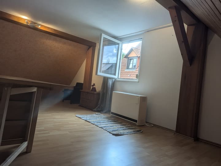 Großes Gemütliches Zimmer In Kehl Zentrum - Kehl