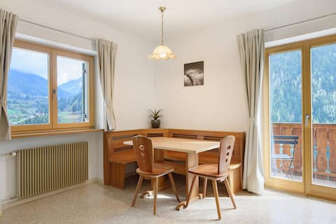 Top performing Airbnb: Unterzerunhof 2 in Lajen