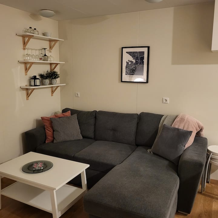 Beautiful And Cozy 36 Sqm Studio Apartment. - Reykjavik