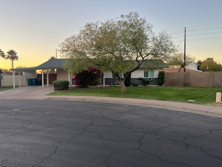 Baltimore Beauty! - Mesa, AZ