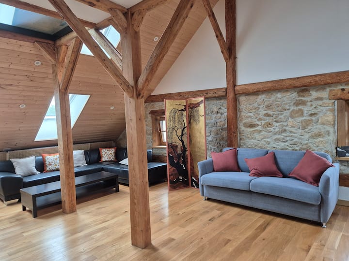 Appartement "Les Libellules" - Murten