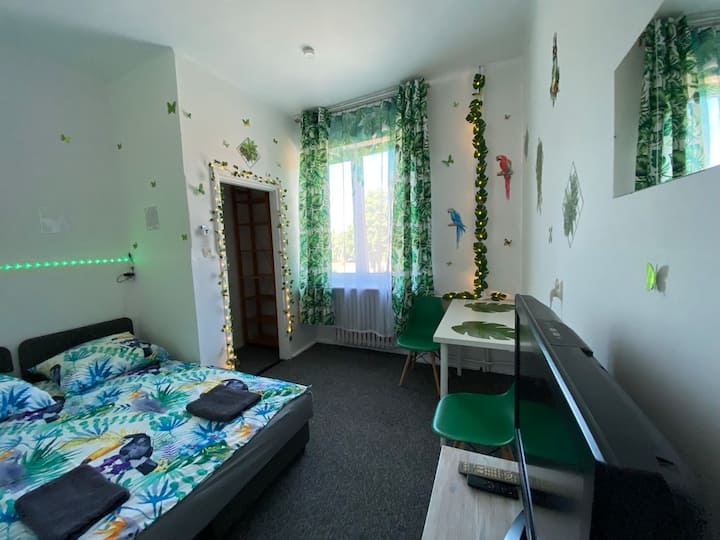 Quarto