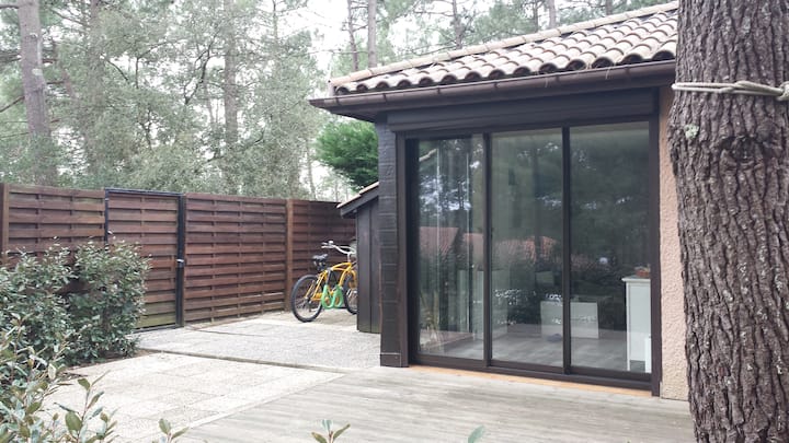 Maisonnette T2 Bis Dans Les Pins - Lacanau