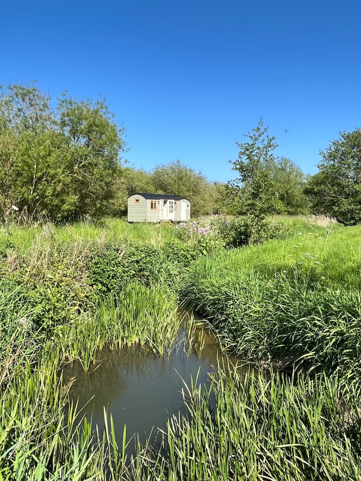 Idyllic Shepherd's Hut Getaway - Towcester
