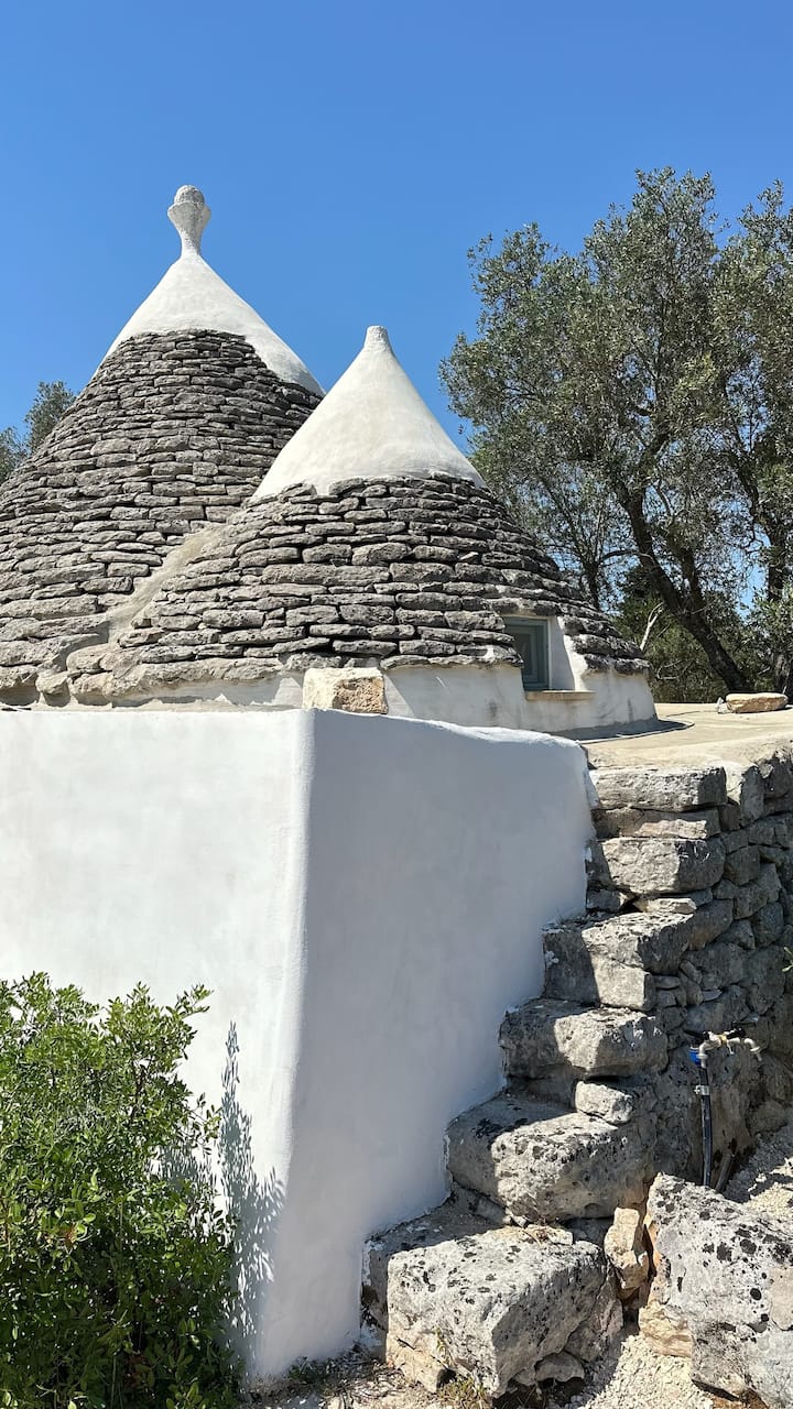 Trullo Autentico Con King Size Tra Ulivi | Privacy - Grottaglie