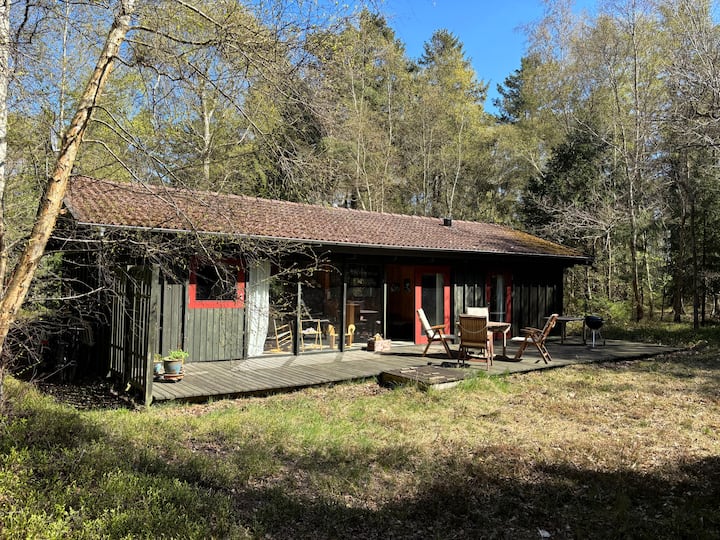 Charming Forest Retreat - Denmark