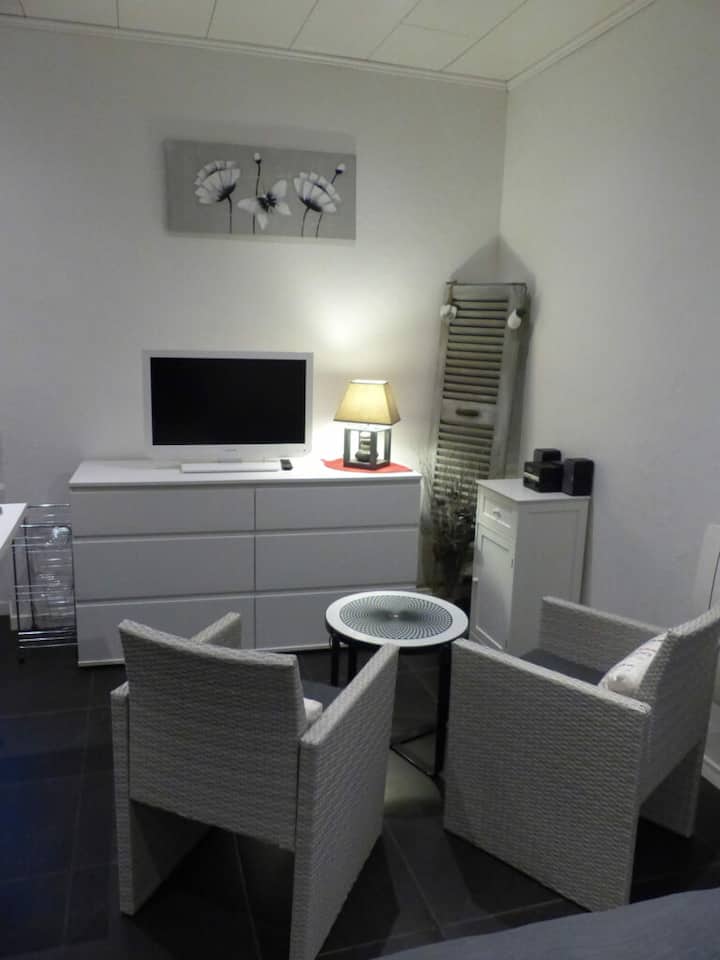 Studio Le Métropole - Vals-les-Bains