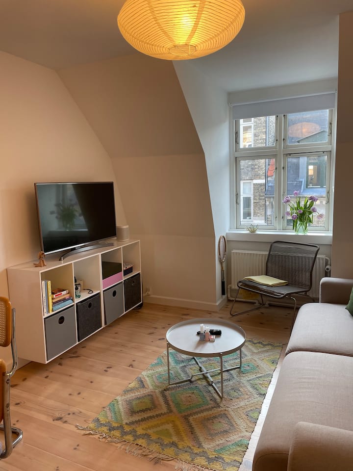 Nørrebros Hyggeligste Lejlighed - Copenhagen