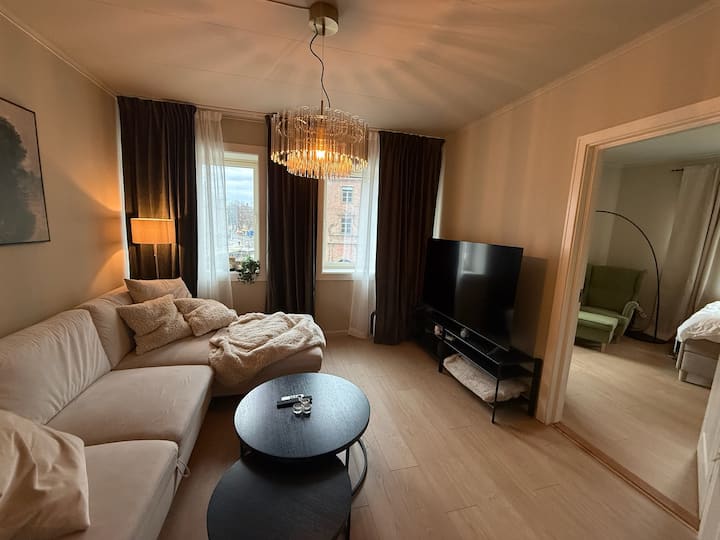 Sentral Og Nyoppusset Leilighet Nær Solsiden - Trondheim