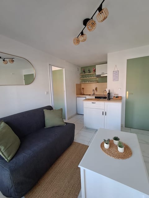 Top Airbnb: Seagull singing in Villers Sur Mer