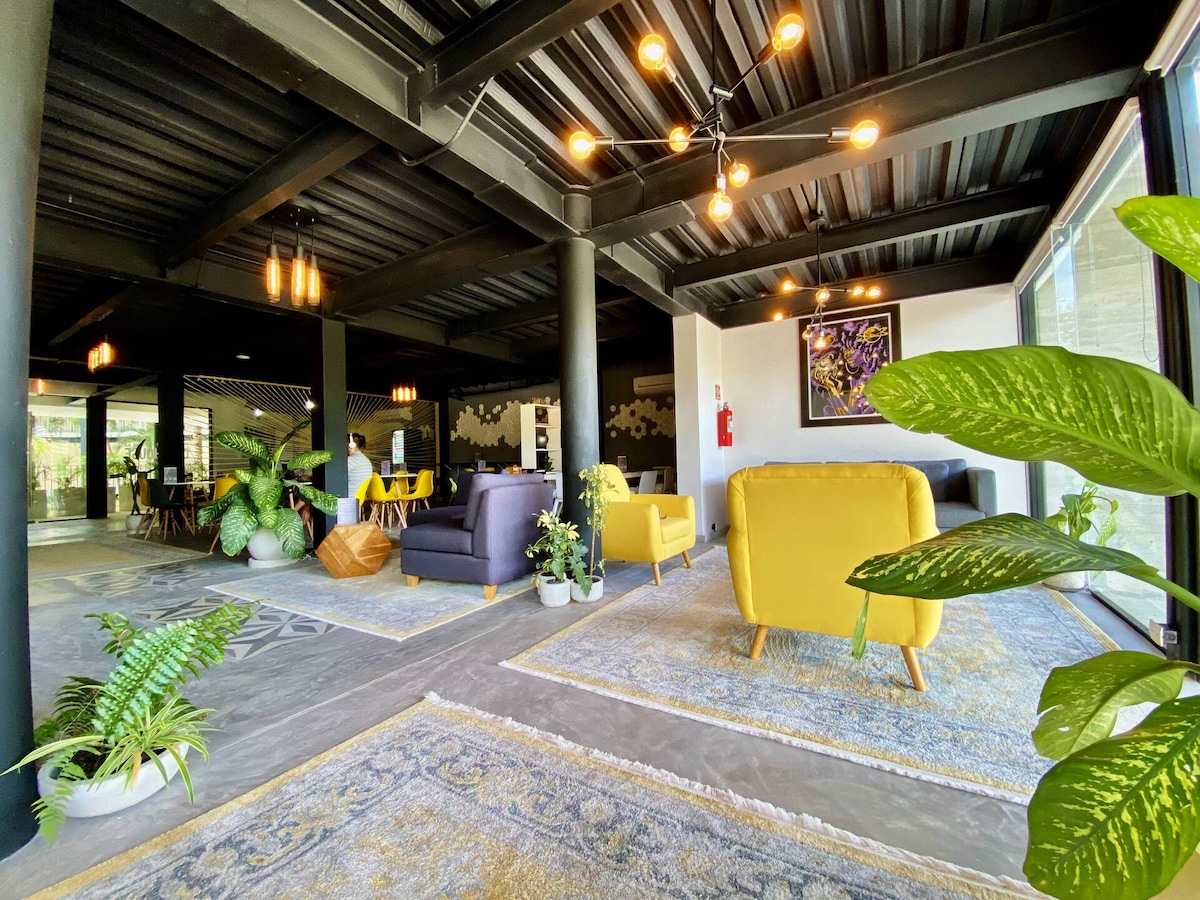 Property in Egypt | Find the Perfect Home | House Solution Egypt