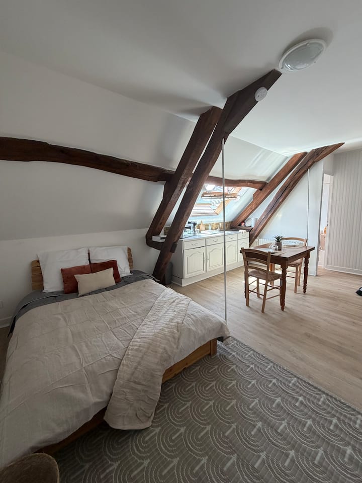 Studio 15 Proche Du Pal - Dompierre-sur-Besbre