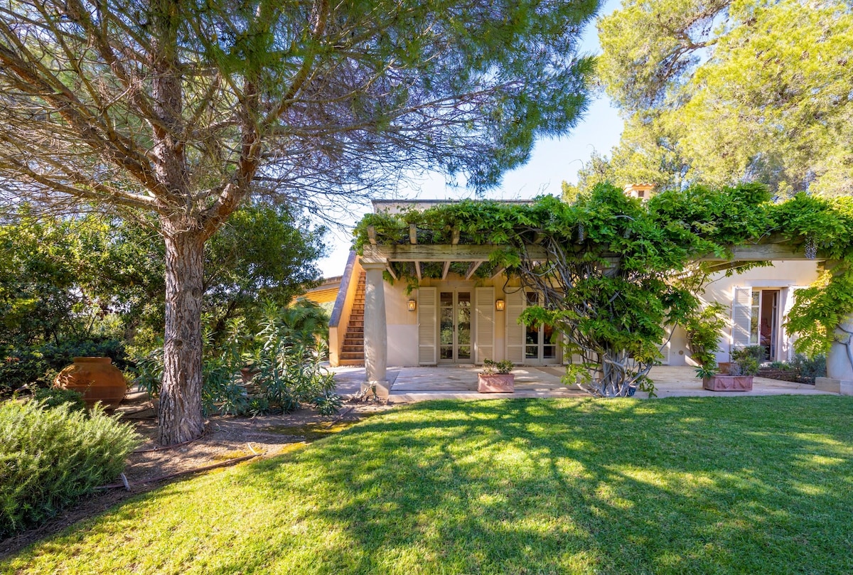 Front of The Mallorcan House, doors under a vine-covered porch