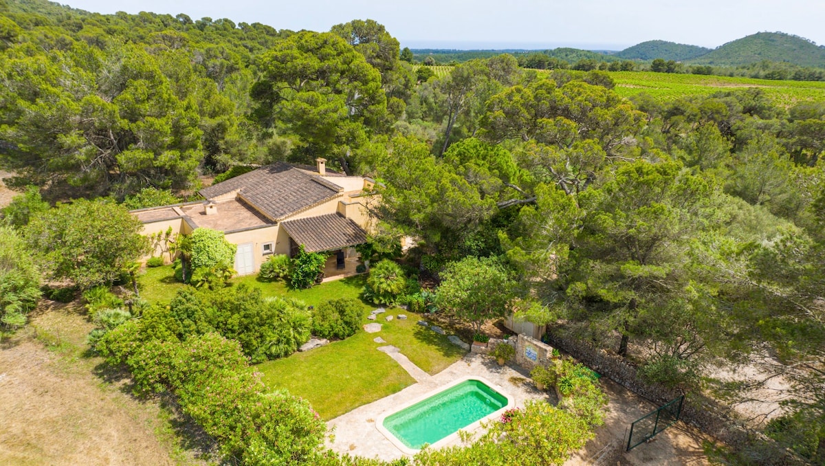 Aerial view of The Mallorcan House, garden and pool