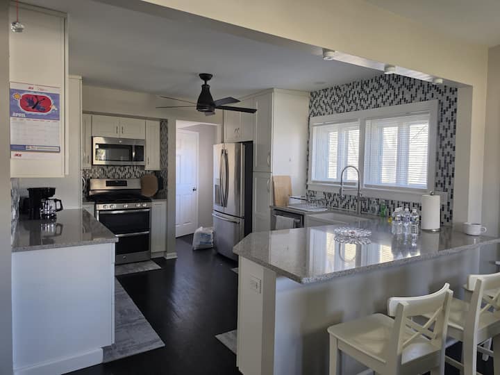Elegant & Brand New 3 Bedroom House - Chicago, IL