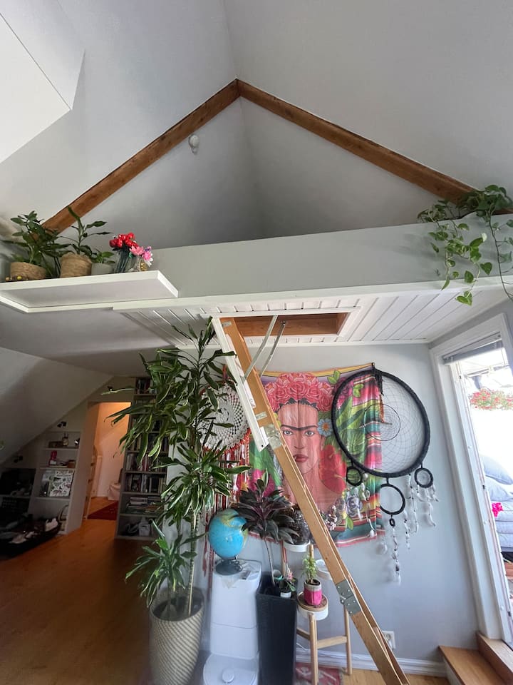 Chambre 3