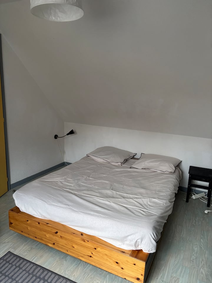 Chambre D'hôtes Très Bien Située - Strasbourg