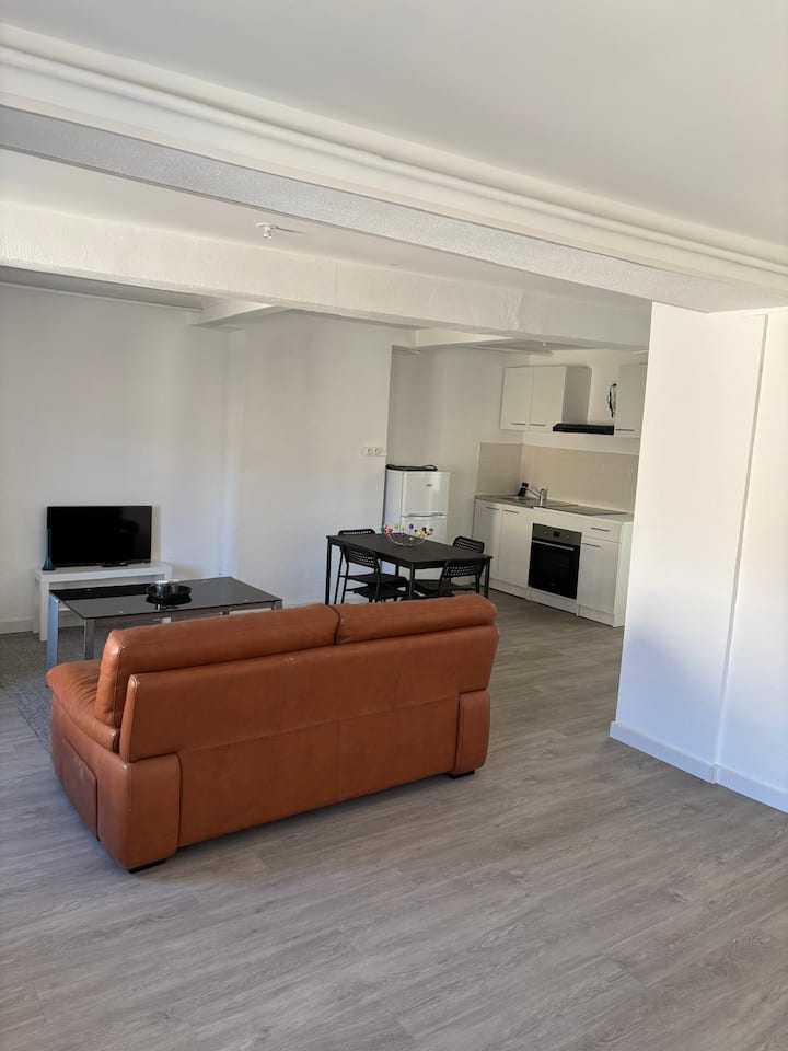 Appartement Totalement Rénové - Saint-Pons-de-Thomières