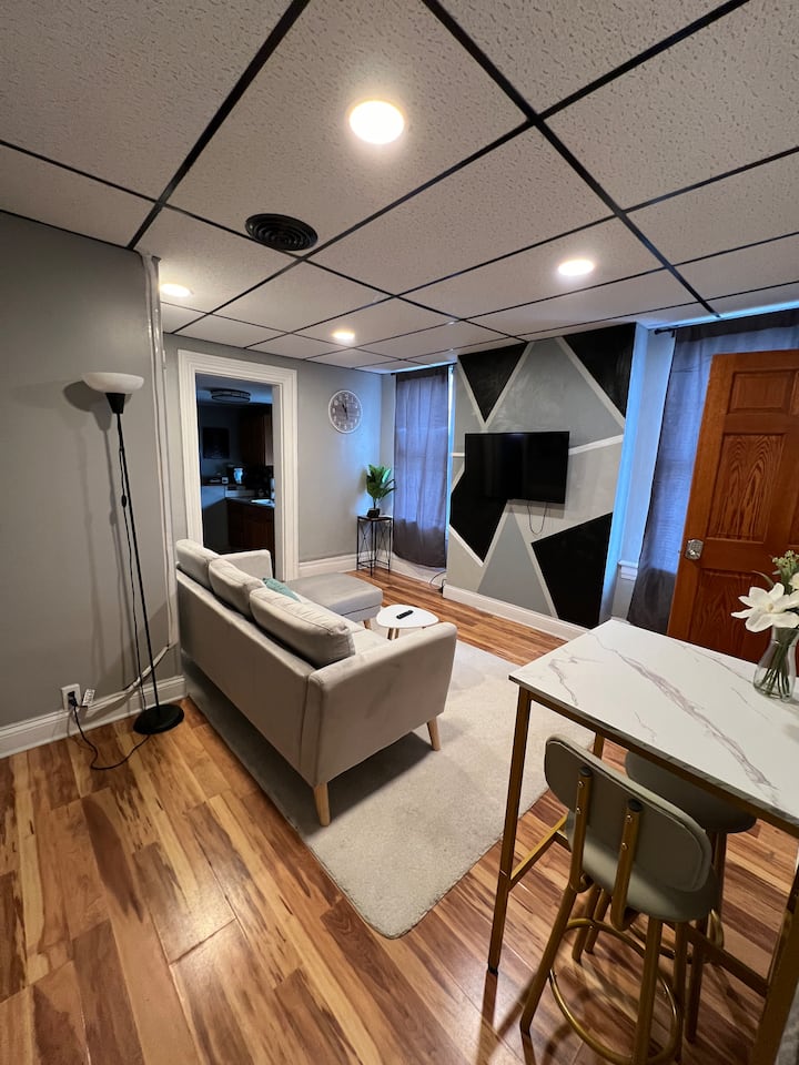 Central & Cozy Pit 2br - Walk To Everything! - Pittsburgh