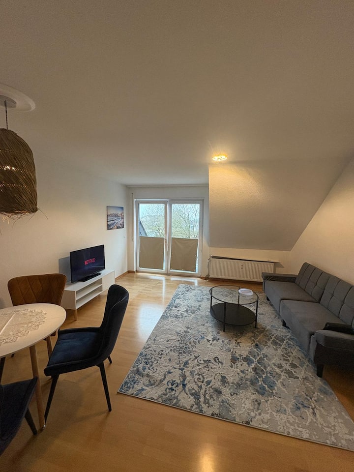 Comfortable Offenbach Apartment Near Frankfurt - Offenbach am Main