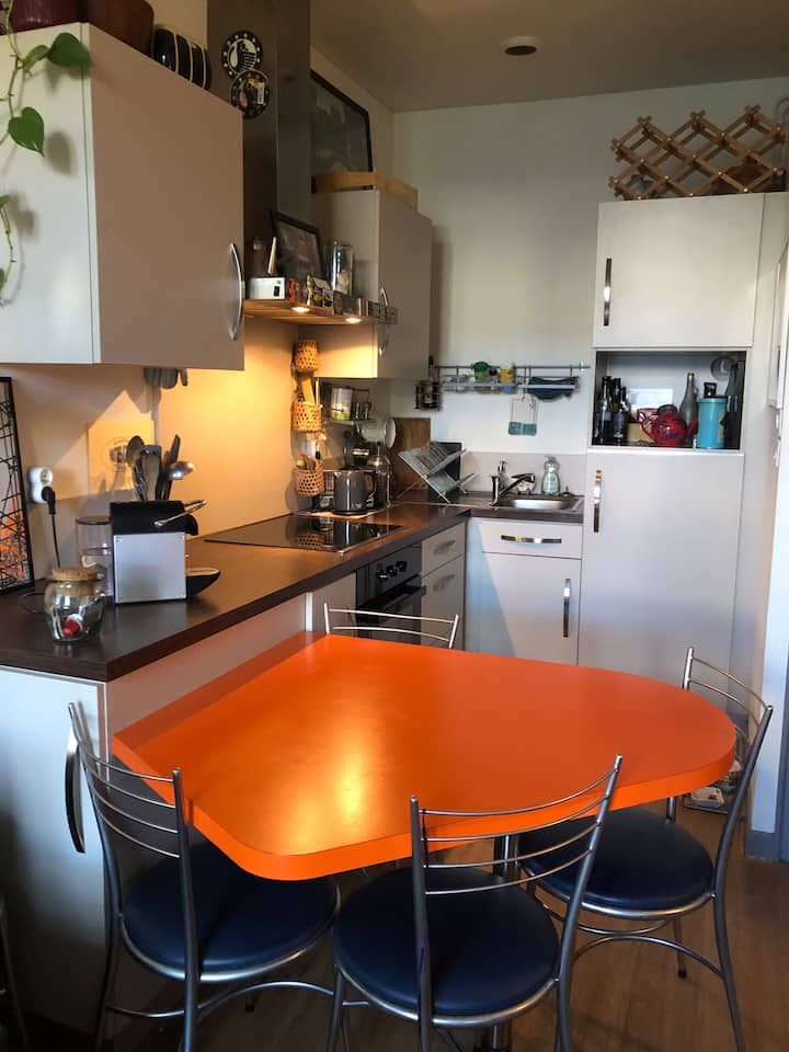 Appartement Hyper Centre Nantes - Nantes