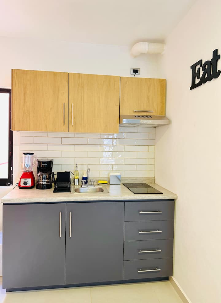 Loft Nuevo En Zona Centro Aguascalientes - Loft 8 - Aguascalientes