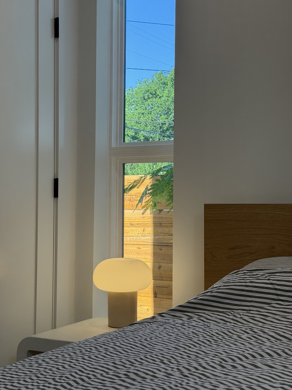 Quiet Urban Escape in North Central Austin