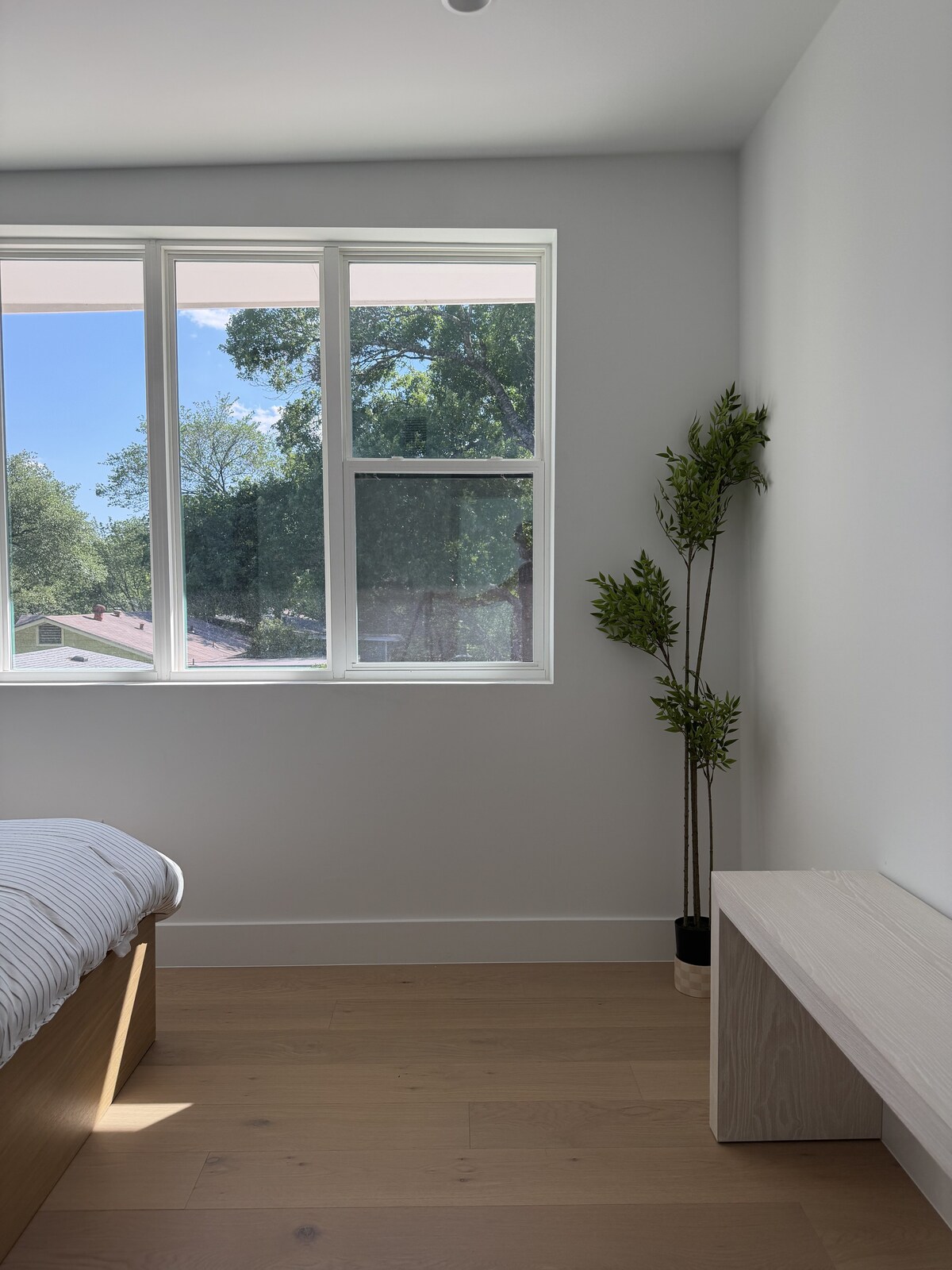 Quiet Urban Escape in North Central Austin